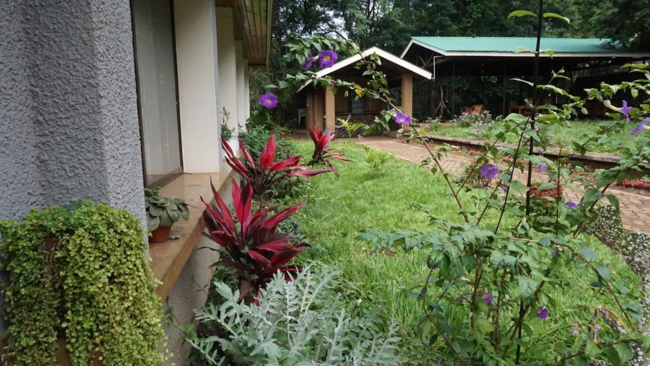 莫希Walk With Us Africa住宿加早餐旅馆 外观 照片